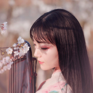 琴师芸菲资料,琴师芸菲最新歌曲,琴师芸菲MV视频,琴师芸菲音乐专辑,琴师芸菲好听的歌