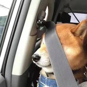 KaKaM资料,KaKaM最新歌曲,KaKaMMV视频,KaKaM音乐专辑,KaKaM好听的歌