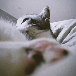 Hoiyuk资料,Hoiyuk最新歌曲,HoiyukMV视频,Hoiyuk音乐专辑,Hoiyuk好听的歌