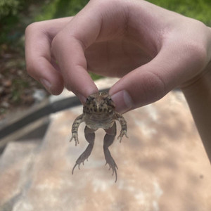 S1NTD资料,S1NTD最新歌曲,S1NTDMV视频,S1NTD音乐专辑,S1NTD好听的歌