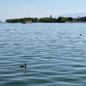 大头钊资料,大头钊最新歌曲,大头钊MV视频,大头钊音乐专辑,大头钊好听的歌