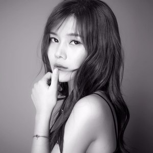 迷鹿资料,迷鹿最新歌曲,迷鹿MV视频,迷鹿音乐专辑,迷鹿好听的歌