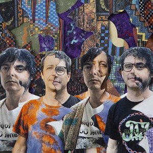 Animal Collective