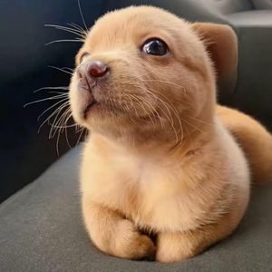 周存亮资料,周存亮最新歌曲,周存亮MV视频,周存亮音乐专辑,周存亮好听的歌