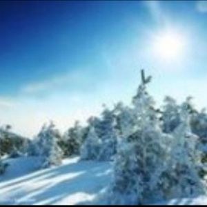 高雪松资料,高雪松最新歌曲,高雪松MV视频,高雪松音乐专辑,高雪松好听的歌