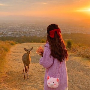 嘟嘟哇资料,嘟嘟哇最新歌曲,嘟嘟哇MV视频,嘟嘟哇音乐专辑,嘟嘟哇好听的歌