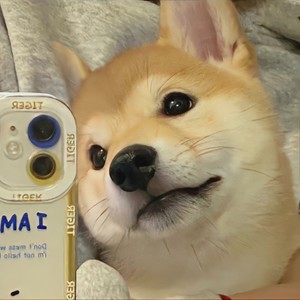 音乐梦想