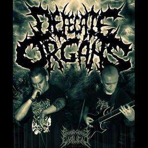 Defecate Organs