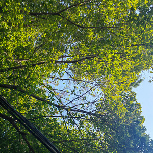 苏乙诺资料,苏乙诺最新歌曲,苏乙诺MV视频,苏乙诺音乐专辑,苏乙诺好听的歌