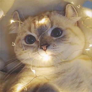 时光无痕无迹资料,时光无痕无迹最新歌曲,时光无痕无迹MV视频,时光无痕无迹音乐专辑,时光无痕无迹好听的歌