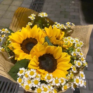 一直很安静 (K歌版)