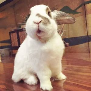 疋疋资料,疋疋最新歌曲,疋疋MV视频,疋疋音乐专辑,疋疋好听的歌