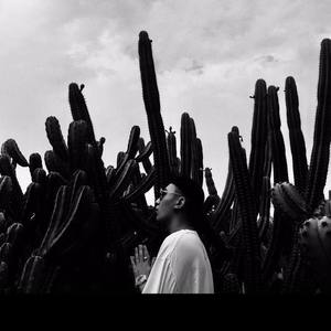 飞鱼资料,飞鱼最新歌曲,飞鱼MV视频,飞鱼音乐专辑,飞鱼好听的歌