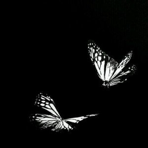 1ANGLU竹资料,1ANGLU竹最新歌曲,1ANGLU竹MV视频,1ANGLU竹音乐专辑,1ANGLU竹好听的歌