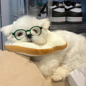 是只椰子资料,是只椰子最新歌曲,是只椰子MV视频,是只椰子音乐专辑,是只椰子好听的歌