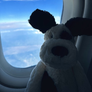 辰资料,辰最新歌曲,辰MV视频,辰音乐专辑,辰好听的歌