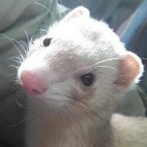 田中B资料,田中B最新歌曲,田中BMV视频,田中B音乐专辑,田中B好听的歌