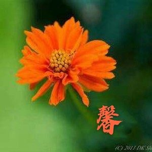 仁馨资料,仁馨最新歌曲,仁馨MV视频,仁馨音乐专辑,仁馨好听的歌