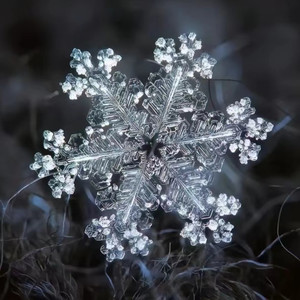 雪寒酥