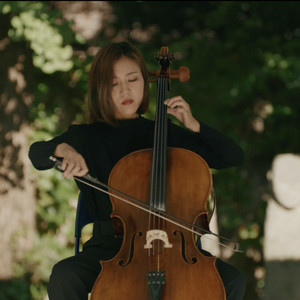 빅바이올린 플레이어 (Big Violin Player)