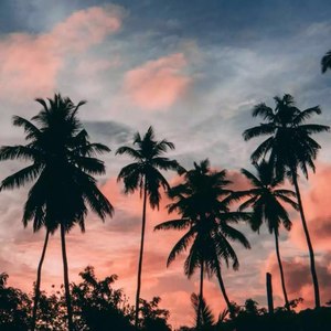 张航宇资料,张航宇最新歌曲,张航宇MV视频,张航宇音乐专辑,张航宇好听的歌