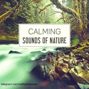 The Calming Sounds of Nature