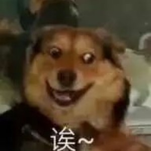 丸子与大头资料,丸子与大头最新歌曲,丸子与大头MV视频,丸子与大头音乐专辑,丸子与大头好听的歌