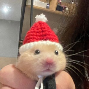 难忘资料,难忘最新歌曲,难忘MV视频,难忘音乐专辑,难忘好听的歌