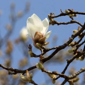 徐熙玟资料,徐熙玟最新歌曲,徐熙玟MV视频,徐熙玟音乐专辑,徐熙玟好听的歌