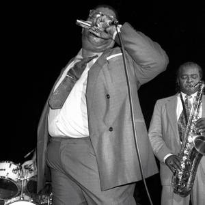 Harmonica Fats资料,Harmonica Fats最新歌曲,Harmonica FatsMV视频,Harmonica Fats音乐专辑,Harmonica Fats好听的歌