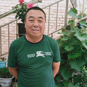 红尘情歌