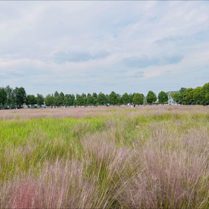 Z水水资料,Z水水最新歌曲,Z水水MV视频,Z水水音乐专辑,Z水水好听的歌