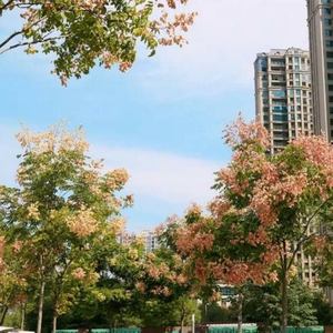 小何弯弯资料,小何弯弯最新歌曲,小何弯弯MV视频,小何弯弯音乐专辑,小何弯弯好听的歌