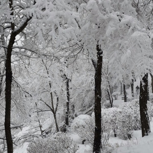 美丽人生资料,美丽人生最新歌曲,美丽人生MV视频,美丽人生音乐专辑,美丽人生好听的歌
