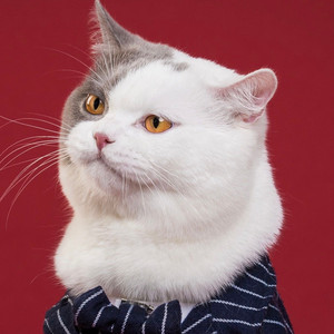 刘晋资料,刘晋最新歌曲,刘晋MV视频,刘晋音乐专辑,刘晋好听的歌