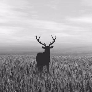 张大路资料,张大路最新歌曲,张大路MV视频,张大路音乐专辑,张大路好听的歌