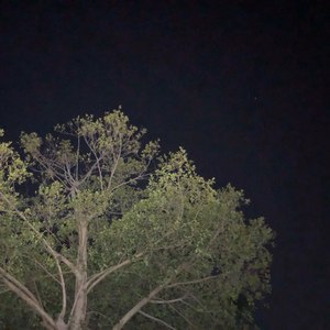 苏樂-S-资料,苏樂-S-最新歌曲,苏樂-S-MV视频,苏樂-S-音乐专辑,苏樂-S-好听的歌