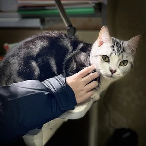 黄草侠资料,黄草侠最新歌曲,黄草侠MV视频,黄草侠音乐专辑,黄草侠好听的歌