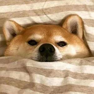 小吴资料,小吴最新歌曲,小吴MV视频,小吴音乐专辑,小吴好听的歌