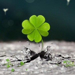 南子资料,南子最新歌曲,南子MV视频,南子音乐专辑,南子好听的歌