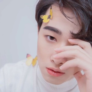 乖仔资料,乖仔最新歌曲,乖仔MV视频,乖仔音乐专辑,乖仔好听的歌