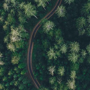 绯村枯木资料,绯村枯木最新歌曲,绯村枯木MV视频,绯村枯木音乐专辑,绯村枯木好听的歌