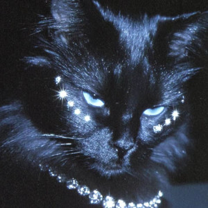 耳朵风暴资料,耳朵风暴最新歌曲,耳朵风暴MV视频,耳朵风暴音乐专辑,耳朵风暴好听的歌