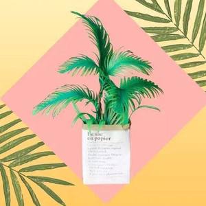 Ginz资料,Ginz最新歌曲,GinzMV视频,Ginz音乐专辑,Ginz好听的歌