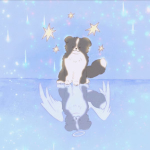 彗星有回音资料,彗星有回音最新歌曲,彗星有回音MV视频,彗星有回音音乐专辑,彗星有回音好听的歌