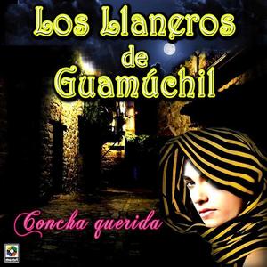 Los Llaneros De Guamuchil资料,Los Llaneros De Guamuchil最新歌曲,Los Llaneros De GuamuchilMV视频,Los Llaneros De Guamuchil音乐专辑,Los Llaneros De Guamuchil好听的歌