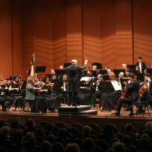 Miskolc Symphony Orchestra