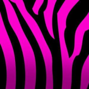 Pink Zebra