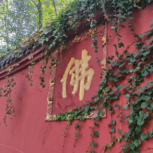 张凤晶资料,张凤晶最新歌曲,张凤晶MV视频,张凤晶音乐专辑,张凤晶好听的歌