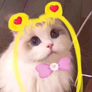 柒喜资料,柒喜最新歌曲,柒喜MV视频,柒喜音乐专辑,柒喜好听的歌